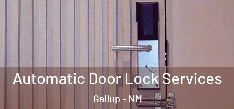 Automatic Door Lock Services Gallup - NM