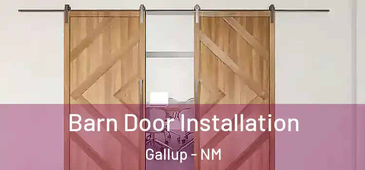 Barn Door Installation Gallup - NM