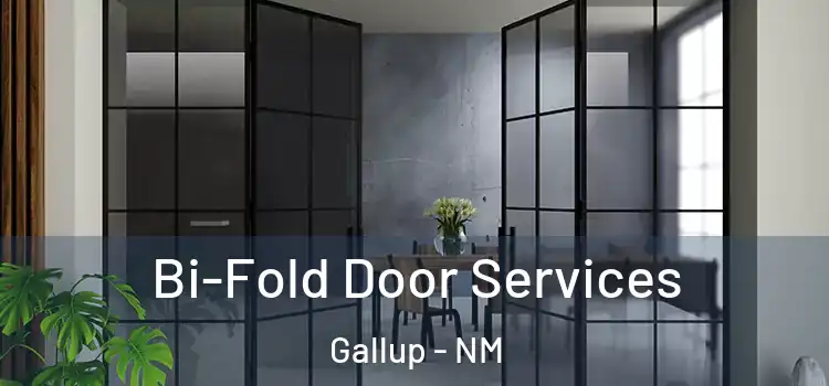 Bi-Fold Door Services Gallup - NM