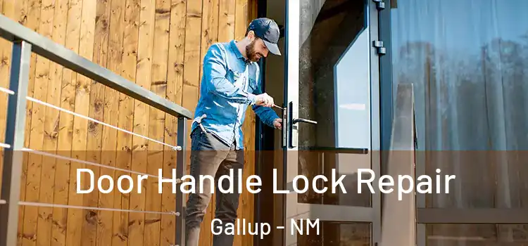 Door Handle Lock Repair Gallup - NM