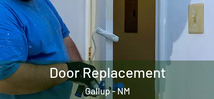 Door Replacement Gallup - NM