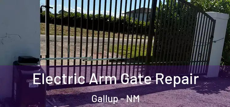 Electric Arm Gate Repair Gallup - NM