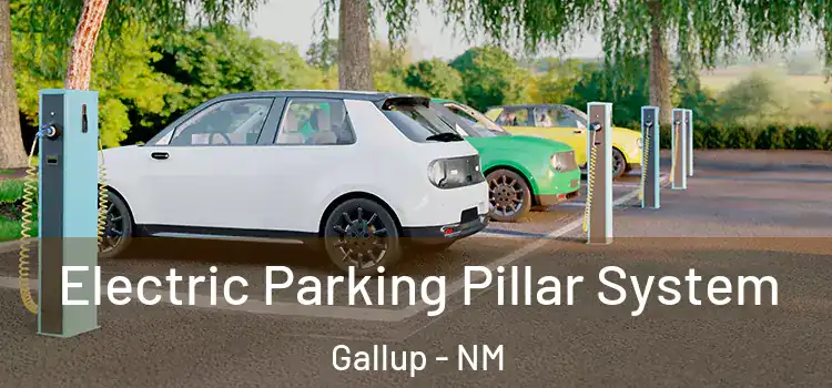 Electric Parking Pillar System Gallup - NM