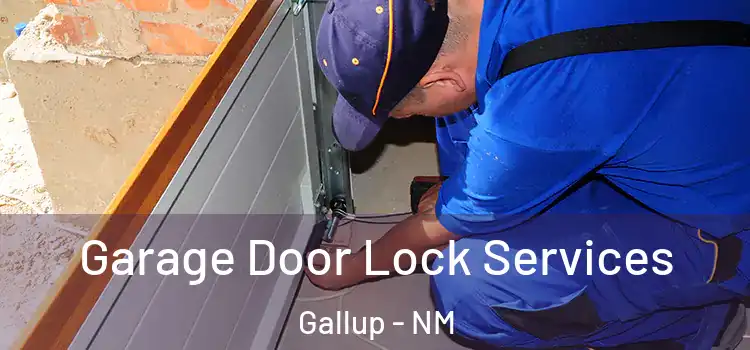 Garage Door Lock Services Gallup - NM