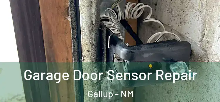 Garage Door Sensor Repair Gallup - NM