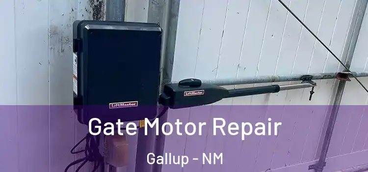 Gate Motor Repair Gallup - NM
