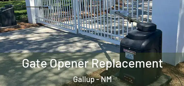 Gate Opener Replacement Gallup - NM