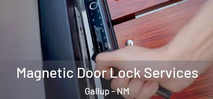 Magnetic Door Lock Services Gallup - NM