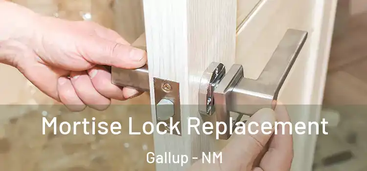 Mortise Lock Replacement Gallup - NM