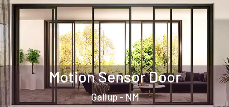 Motion Sensor Door Gallup - NM