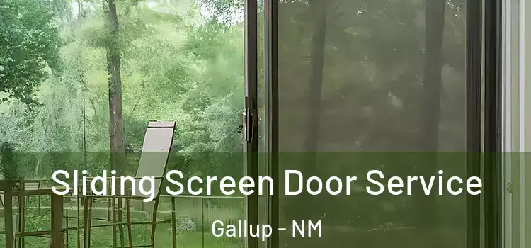 Sliding Screen Door Service Gallup - NM